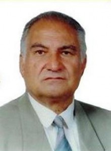 مهندس رضا کرمانی