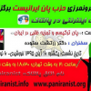 سازمان برون مرزى حزب پان ایرانیست برگزار مى کند :  نشست اینترنتى در پالتاک مسنجر