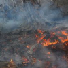 «۲۰۰ هکتار» از جنگل‌های لرستان هم در آتش سوخت