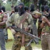 بوکو حرام نزدیک به ۱۰۰ نفر را در شمال نیجریه ربود