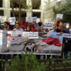 گزارش تکمیلی «تهران گلوی کوبان» از تجمع مقابل دفتر سازمان ملل