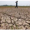فلات ایران در تسخیر گرما