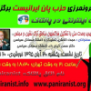 سازمان برون مرزى حزب پان ایرانیست برگزار مى کند : نشست اینترنتى در پالتاک مسنجر