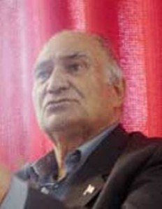 رضا کرمانی